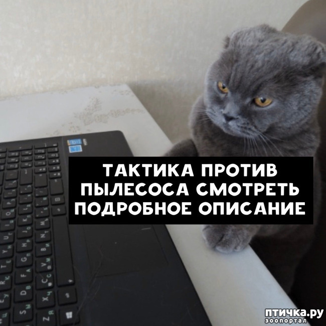 ���� 3: ����� ������� ������ �� ���� � �����...