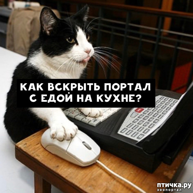 ���� 4: ����� ������� ������ �� ���� � �����...