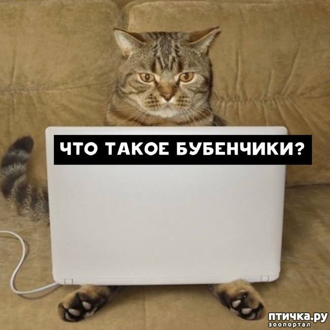 ���� 5: ����� ������� ������ �� ���� � �����...