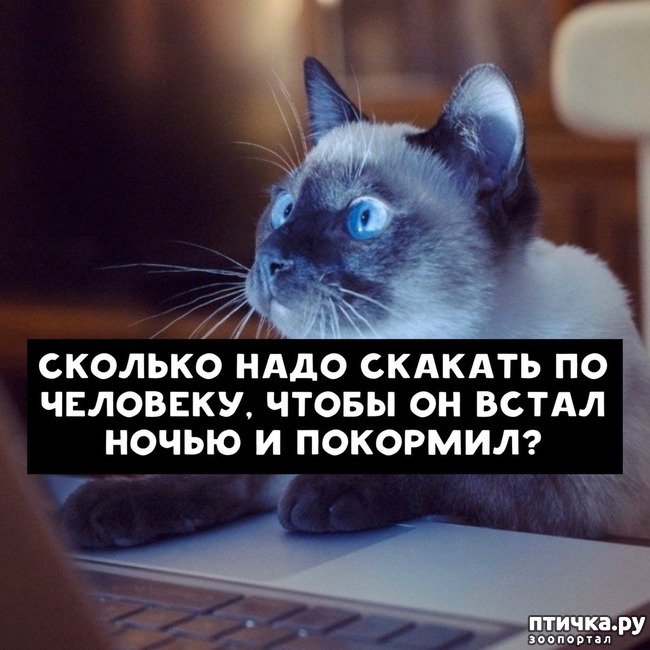 ���� 7: ����� ������� ������ �� ���� � �����...