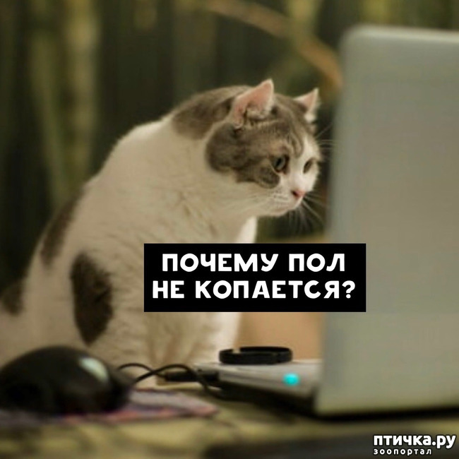 ���� 8: ����� ������� ������ �� ���� � �����...