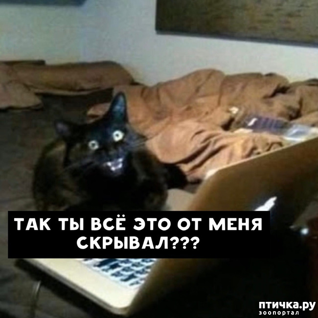 ���� 9: ����� ������� ������ �� ���� � �����...