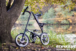 ����: ������������ 3