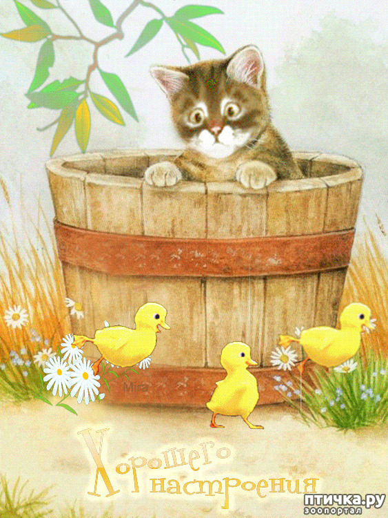 ���� 10: ����� ������� ������ �� ���� � �����...