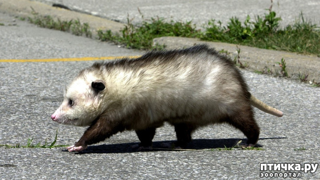 ���� 1: ��� ������� ����� �������