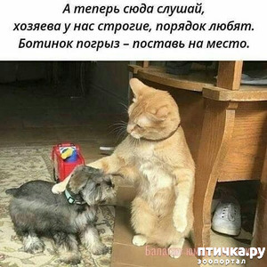 ����: � �����, ������������ � ������ �� ������