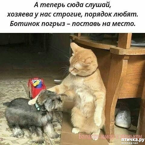 ���� 1: � �����, ������������ � ������ �� ������