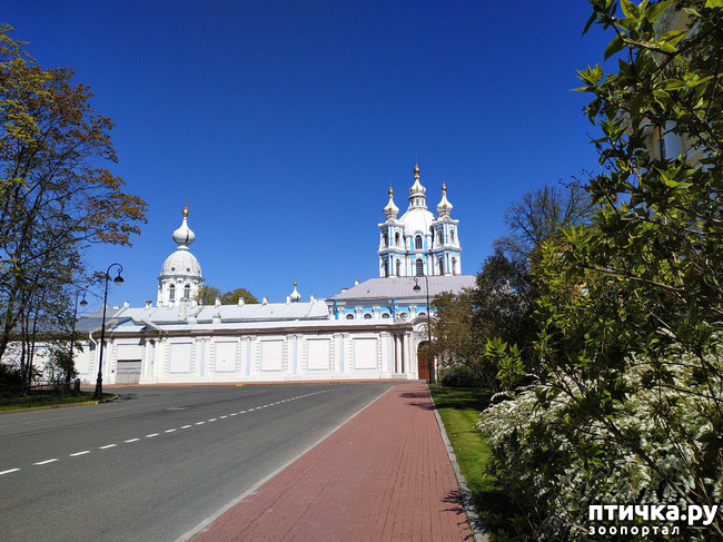 ���� 38: ������������ 3