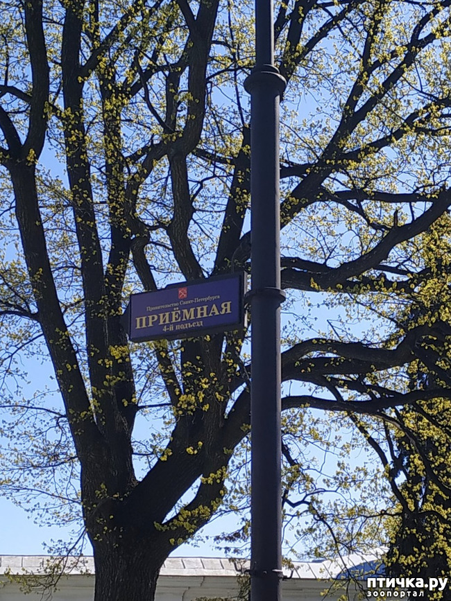 ���� 39: ������������ 3