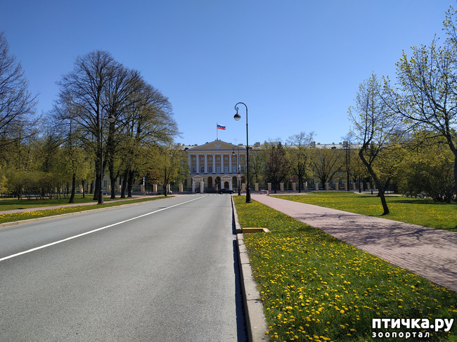 ���� 40: ������������ 3