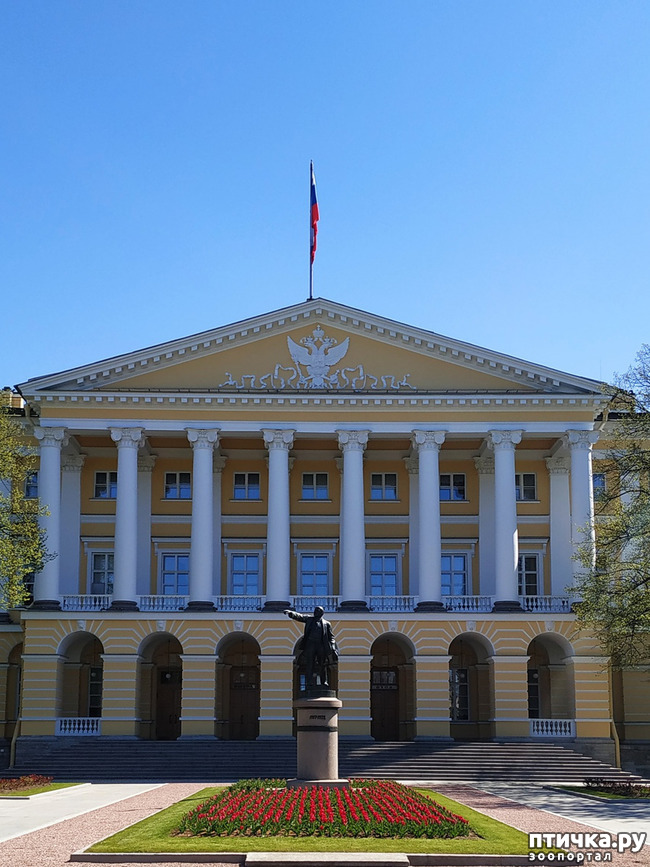 ���� 42: ������������ 3