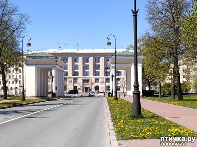 ���� 45: ������������ 3