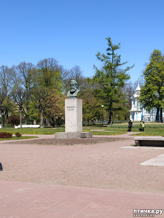 ���� 44: ������������ 3