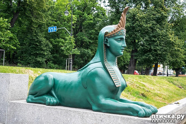 ���� 11: ������������ 3