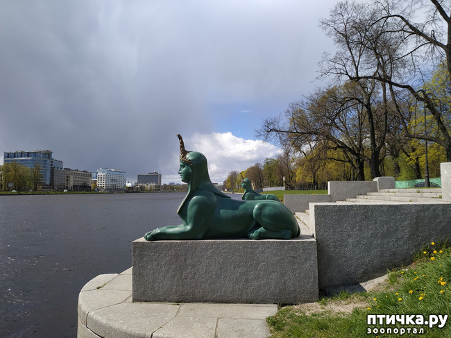 ���� 12: ������������ 3