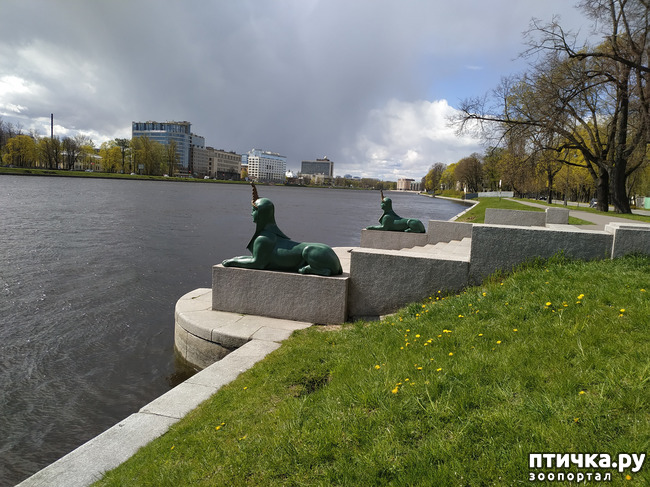 ���� 13: ������������ 3