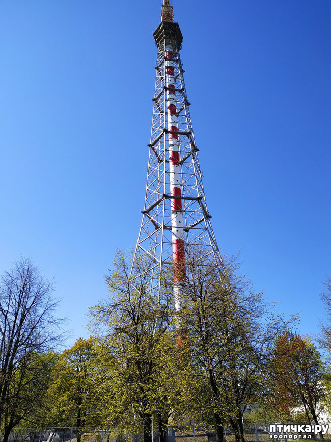 ���� 14: ������������ 3