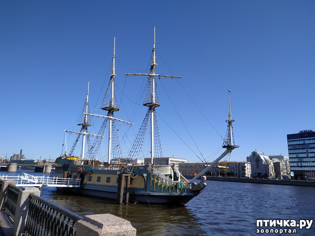 ���� 15: ������������ 3