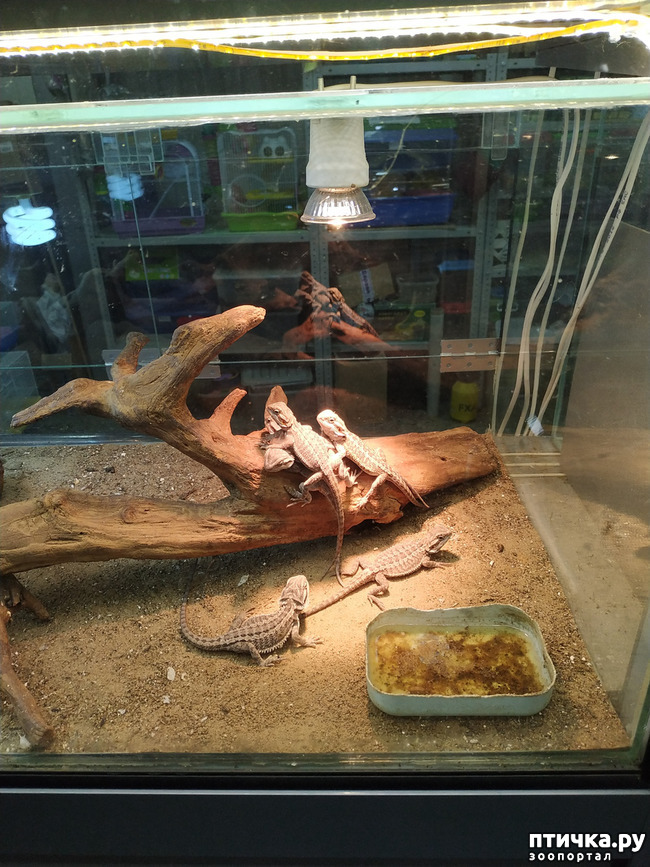 ���� 47: ������������ 3