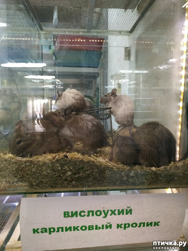 ���� 51: ������������ 3