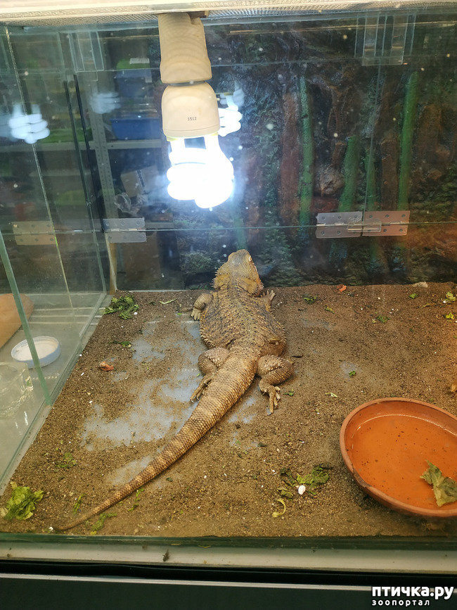 ���� 48: ������������ 3