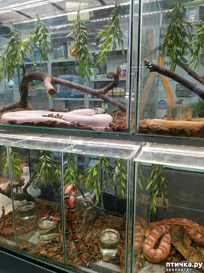 ���� 49: ������������ 3