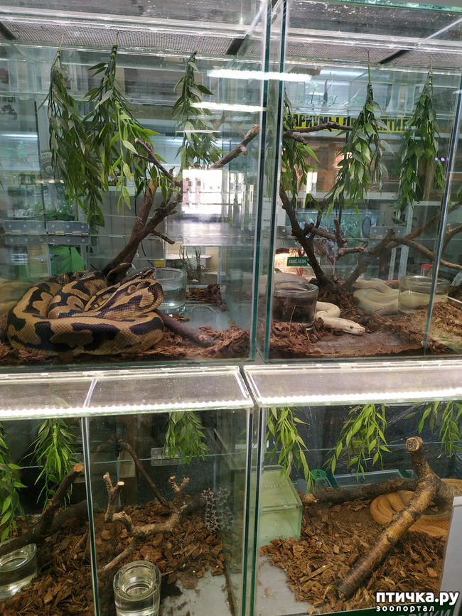 ���� 50: ������������ 3