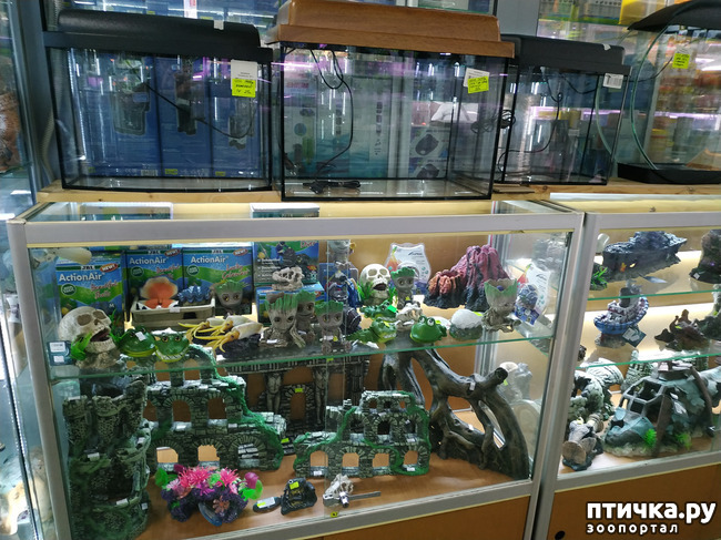 ���� 55: ������������ 3