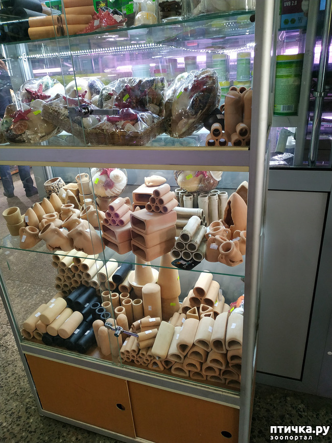 ���� 57: ������������ 3