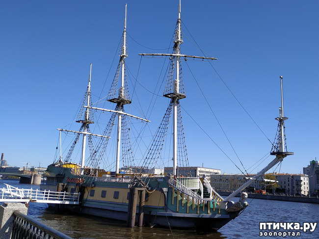 ���� 16: ������������ 3