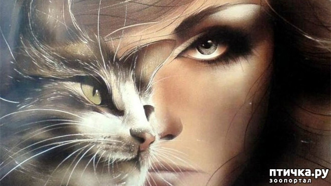 ���� 1: ����� �� ������