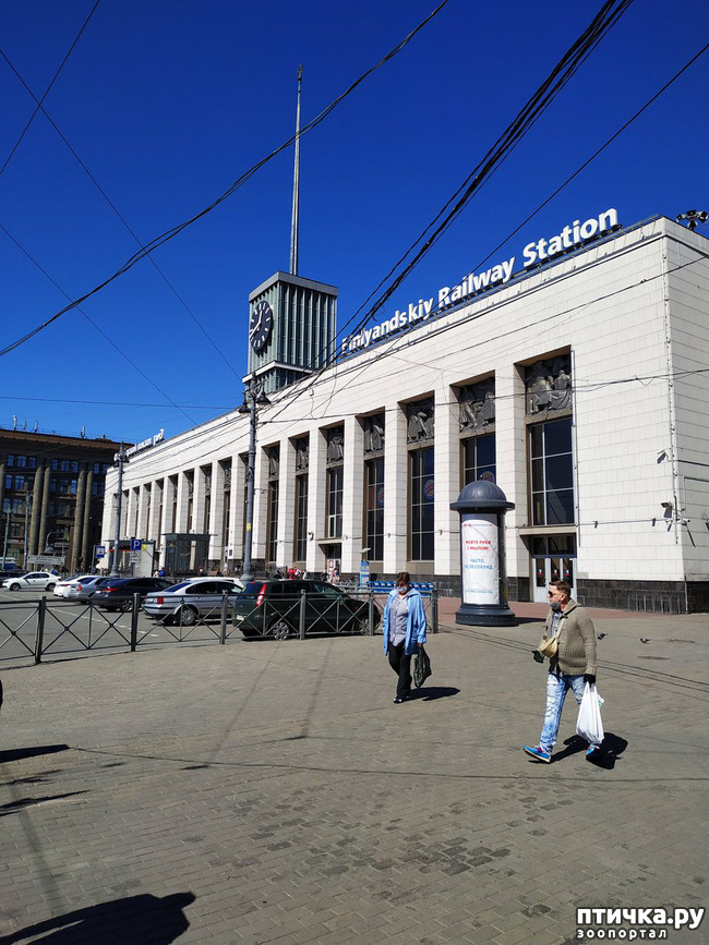 ���� 58: ������������ 3