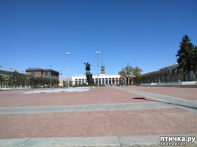 ���� 59: ������������ 3