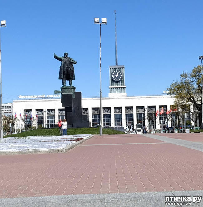 ���� 60: ������������ 3