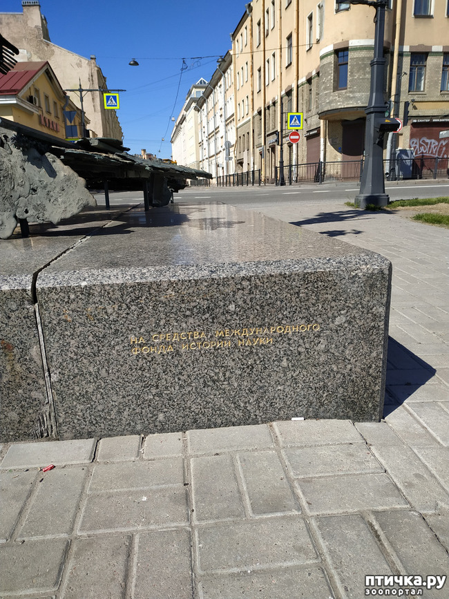 ���� 19: ������������ 3