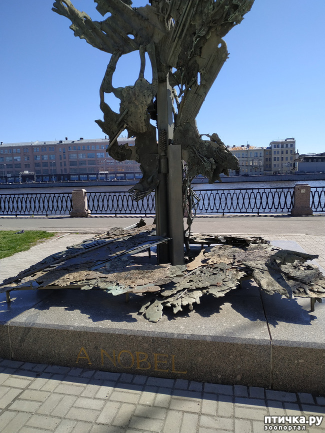 ���� 17: ������������ 3