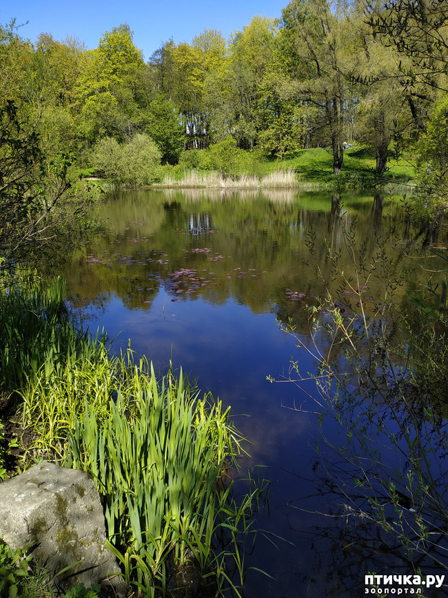 ���� 61: ������������ 3