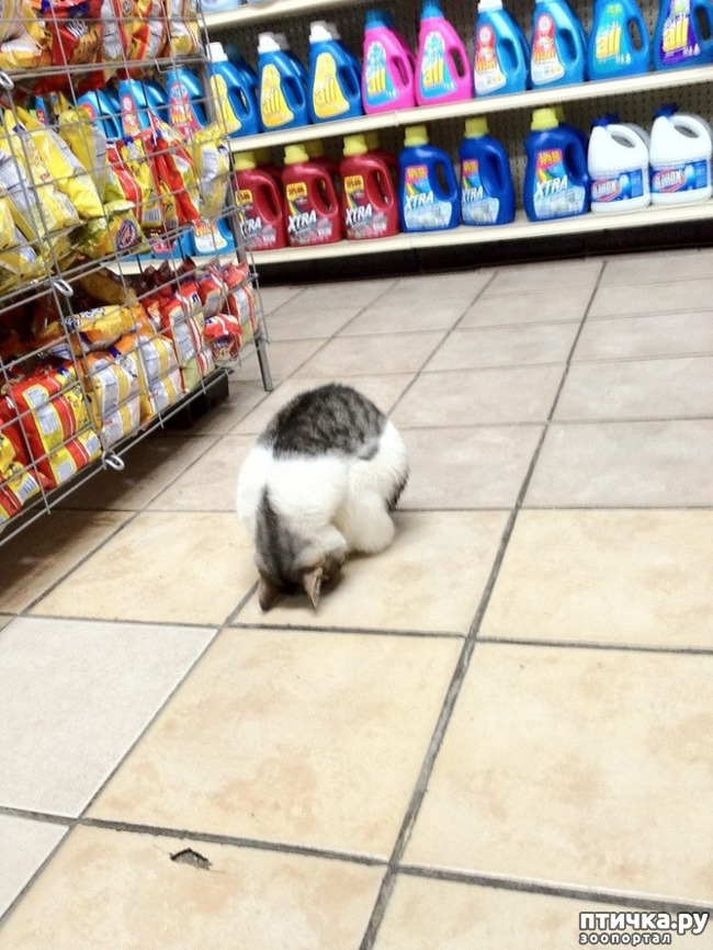 ���� 1: .. � ����� ������� ������� �� ���������