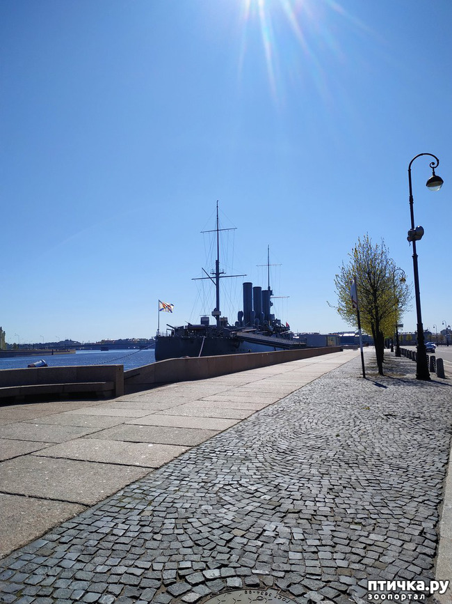 ���� 21: ������������ 3