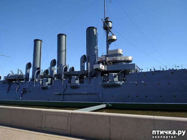 ���� 23: ������������ 3