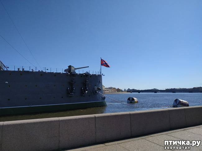 ���� 22: ������������ 3