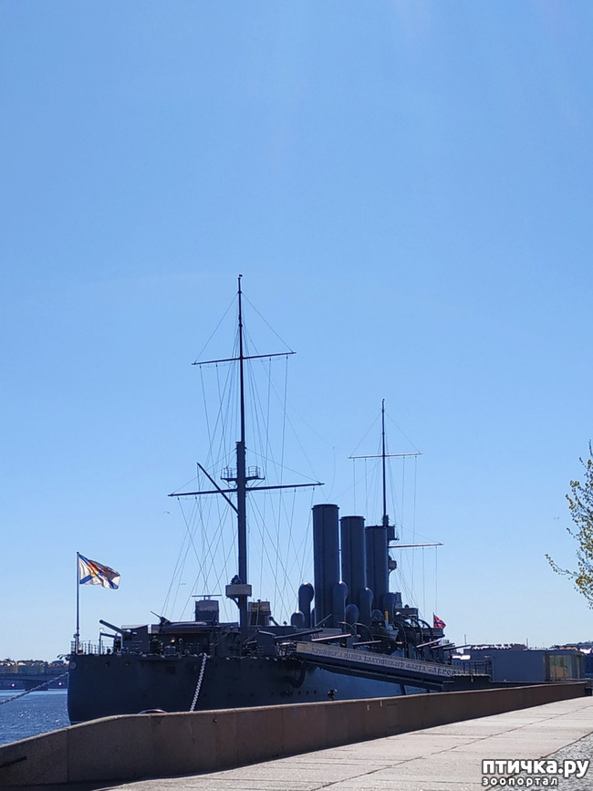 ���� 25: ������������ 3