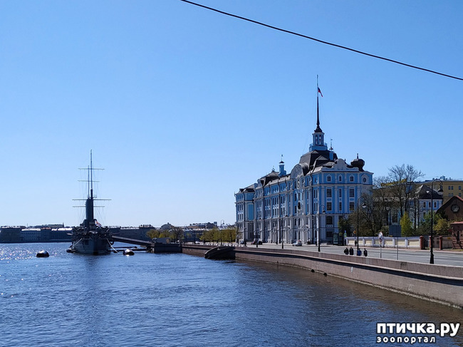 ���� 27: ������������ 3