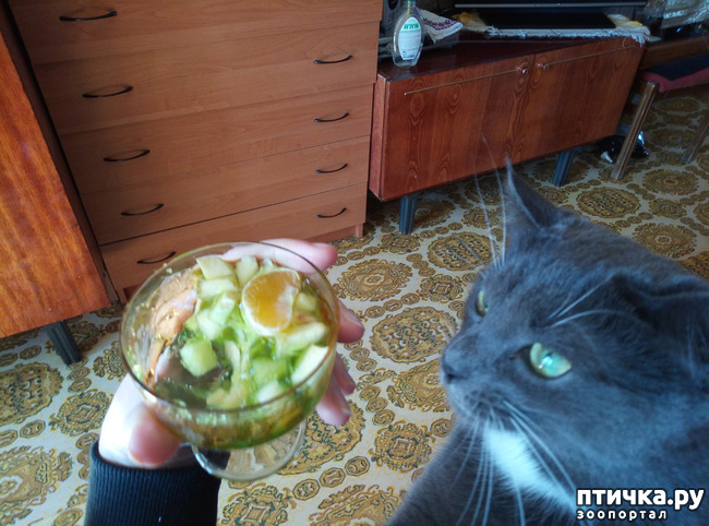 ���� 5: ���-����������