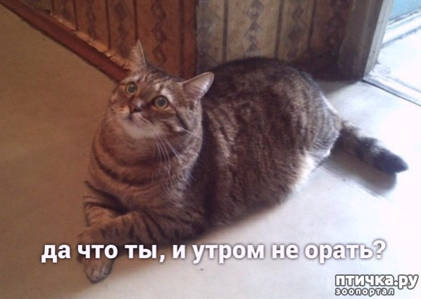 ���� 1: ����� �� �� ����� ����