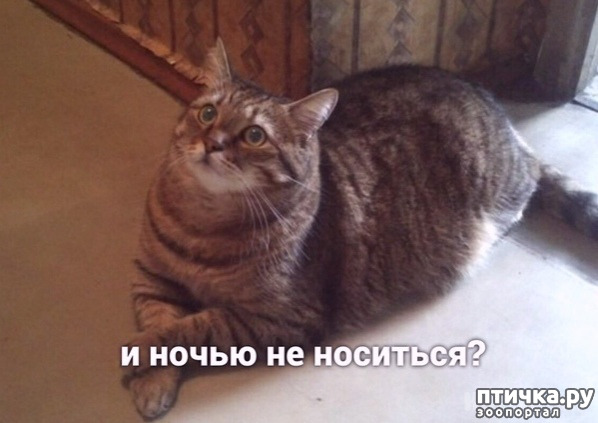 ���� 2: ����� �� �� ����� ����