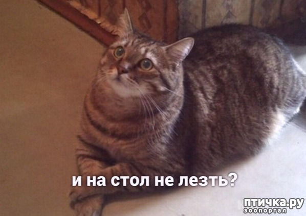 ���� 3: ����� �� �� ����� ����