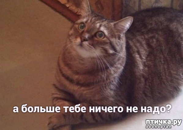 ���� 4: ����� �� �� ����� ����