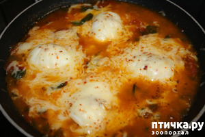 ����: ���� ��� ����� �� ������� �������