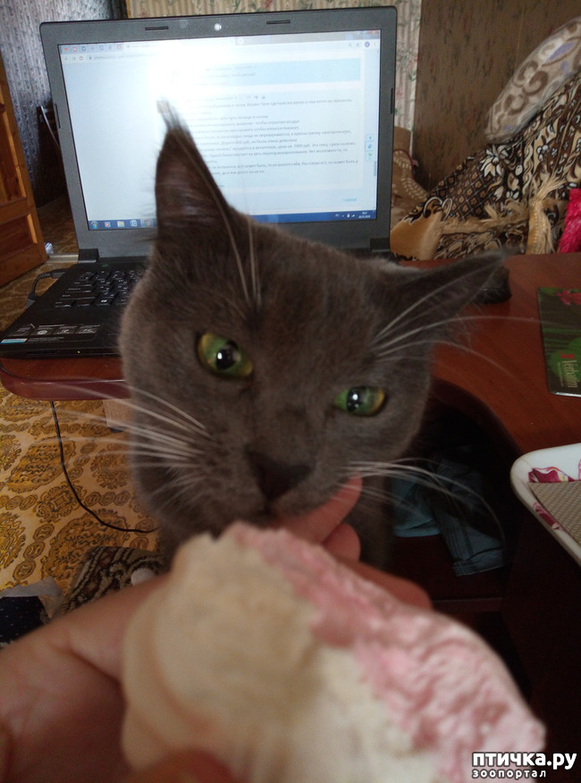 ���� 6: ���-����������